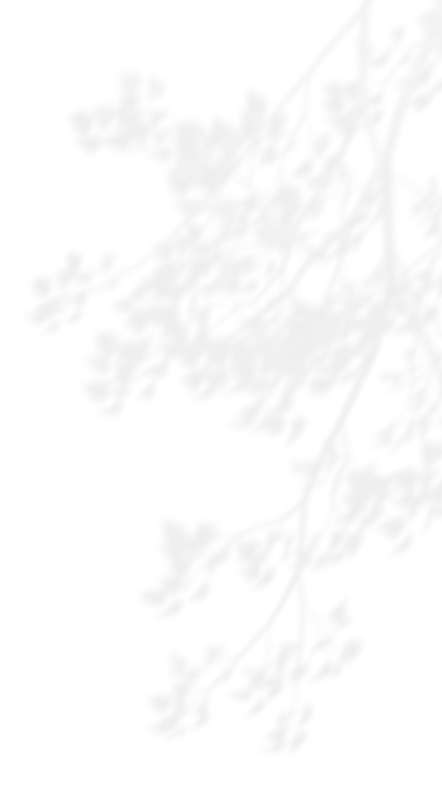 心地よい暮らしの想像自然と調和する